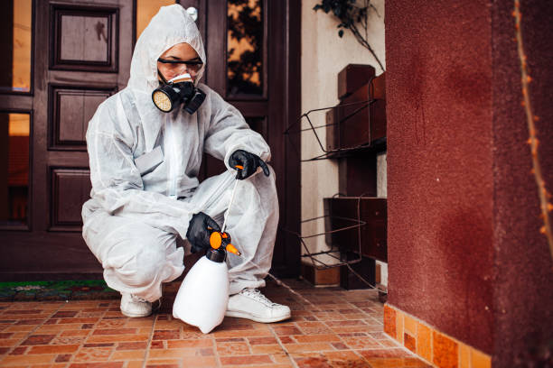 Reliable Ant Control contractor in Solomons, MD by Show Me Pest Control